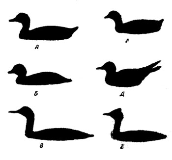 . 25.    .  -  ;  -  ;  - ;  - ;  - ;  - 