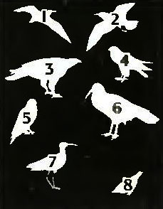 . 1. 1.  . 2.  . 3.  -. 4.  . 5. . 6.  . 7.  . 8.  