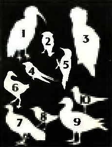 . 3. 1.  . 2.  . 3.  . 4.   . 5.  . 6.  . 7. -. 8.  . 9.  . 10.  