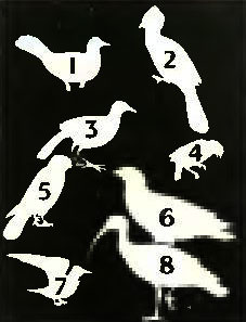 . 4. 1.  . 2.  . 3.   . 4.  . 5.  . 6.  . 7.  . 8.  