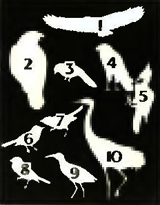 . 5. 1.  . 2.  . 3.  . 4. -. 5.  . 6.  . 7.   . 8.  . 9.  . 10.  