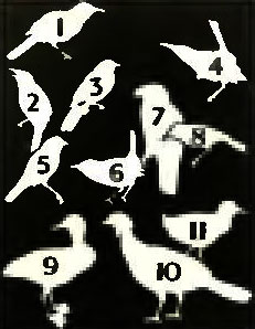 . 6. 1.  . 2.  . 3.  . 4.  . 5.  . 6.  . 7.  . 8.  . 9.   . 10.  
