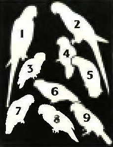. 7. 1.  . 2.  . 3.  . 4.  . 5.  . 6.  . 7.  . 8.  . 9.  