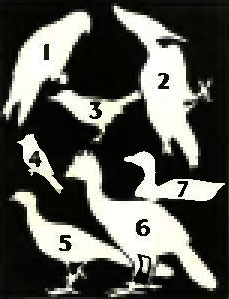 . 8. 1.  . 2.  . 3.  . 4.   . 5.  . 6.  . 7.  