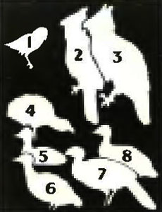 . 9. 1.  . 2.  . 3. . 4.  . 5.  . 6.  . 7. -,  . 8.  
