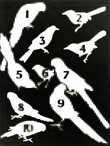 . 10. 1.   . 2.   . 3.  . 4.   . 5.   . 6.  . 7.   . 8.   . 9.  . 10.   