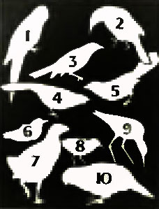 . 12. 1.  -. 2. -. 3.  -. 4.  . 5.  ,  . 6.  . 7. . 8.  . 9.  . 10.  ,  