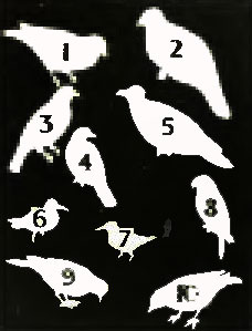 . 13. 1.   . 2.   . 3.   . 4.   . 5.  . 6.  . 7. ,  , . 8.  . 9.   . 10. ,  ,  