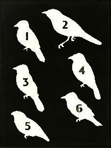 . 14. 1.  -. 2. -. 3.  -. 4.  -. 5.   . 6.  -
