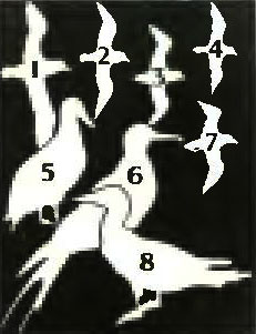 . 16. 1.  . 2.  . 3.  . 4.  . 5.  . 6.  . 7.  . 8.  