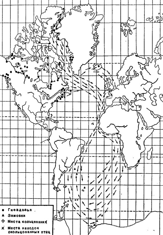 . 20.                 . (  , 1943,  , 1935.)
