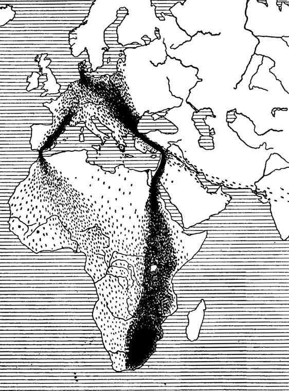 . 32.           (  ;   -  ). ( , 1942.)