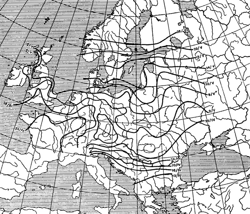 . 34.     ()   (Micropus apus)  . ( , 1938.)