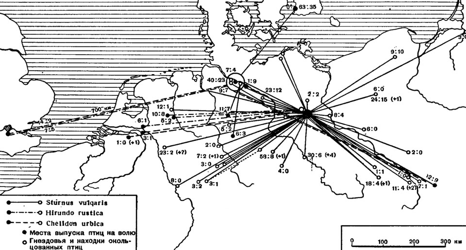 ���. 37. ����� ������� �� �������� ���������� � ����. ����� - ����� ���������� ���������� ���� �� ��������� � ����� ����� ���������. (�� ��� ������, 1934, �� �������.)