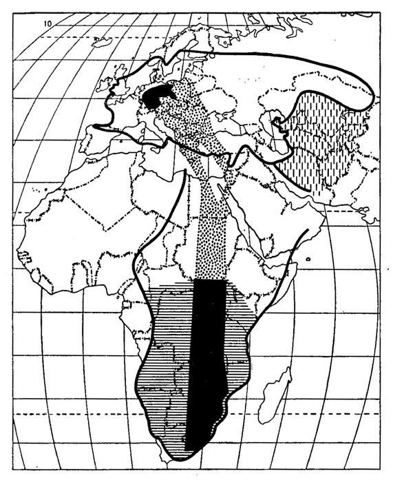 . 46.  . ( , 1937.)          ;       ;    