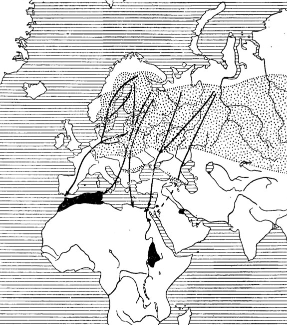 . 49.       . ( , 1936,  .).      ,  -  ,   - 
