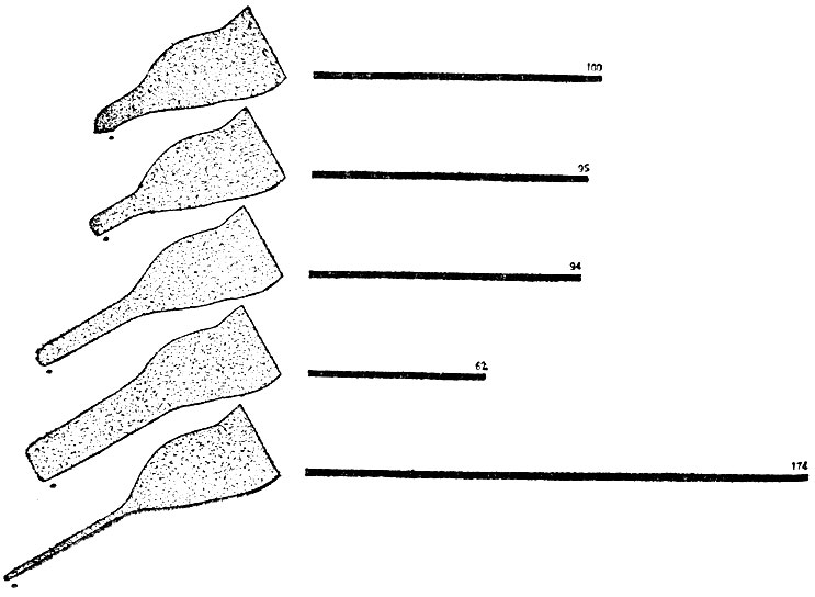 . 35.    