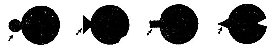 . 48.      '' ( )    