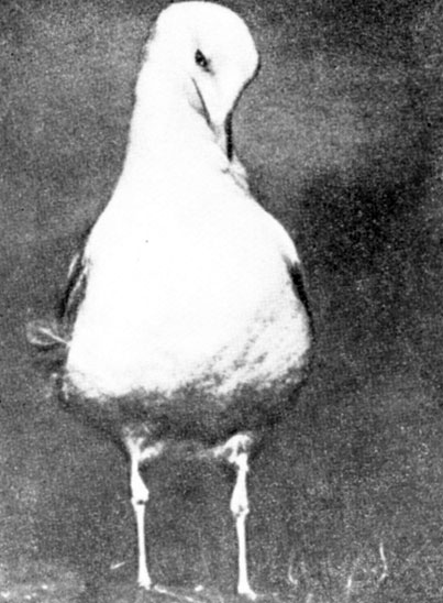  10.      