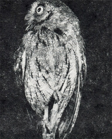 18. ,      ,       ,         .    , ,  1973 .
