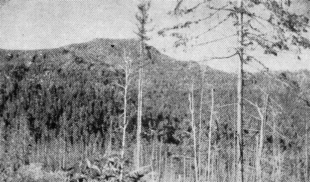 47.	          . ,  1950 .
