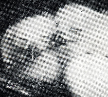 55.         .            .  ,            . ''       .  , 2  1970 .