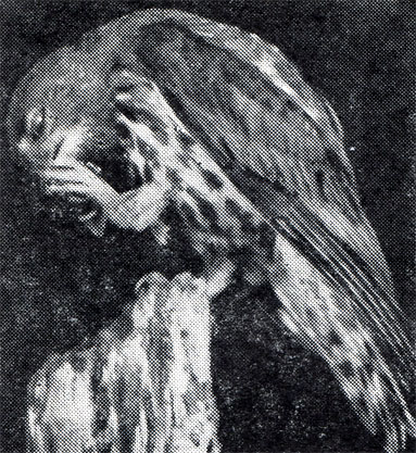 59.     - ,   .      ,         ,     .  