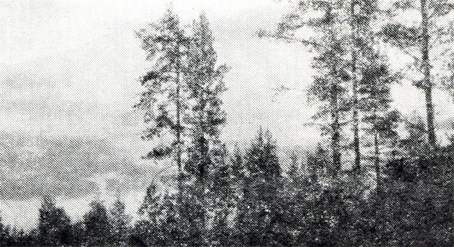 111.  ,    ,      .         - , ,    ,  .    ,      .   .        ,    ,       ,   ,   . 1977 .