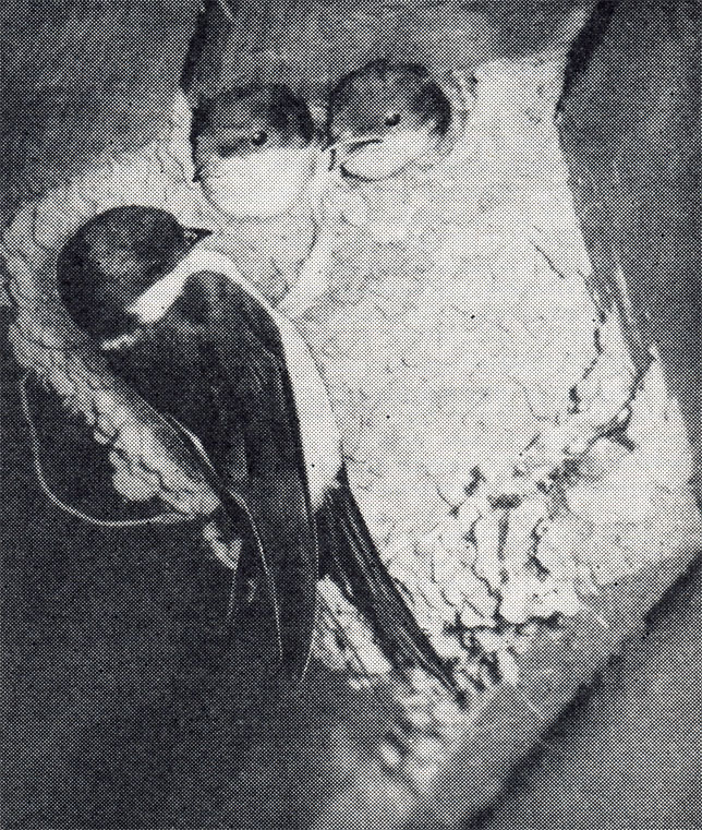 1.      