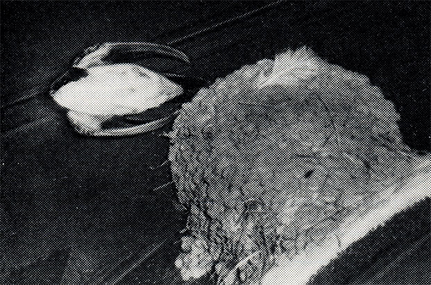 9.     ,    