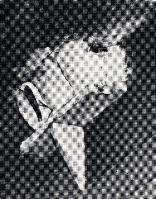 19.       ,    .  ,     (   : .  , 1963)