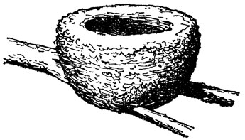 ���. 1. ������������ ������