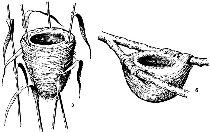 ���. 4. ������� ������: � - ��� ���������; � - ��� ������