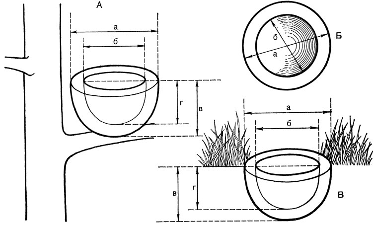 ���. 5. ������� ������������� ������: � - �������������� �� ������; �, � - �������������� �� �����; � - �������� ������� ������; � - ������� �����; � - ������ ������; � - ������� �����