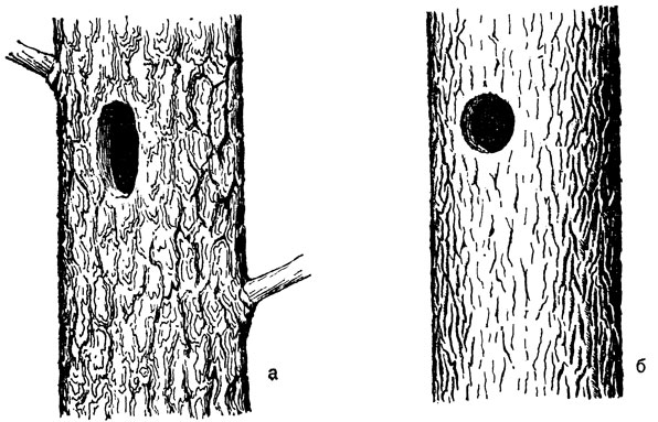 ���. 10. ����� �����: � - � ����� ������� �����; � - � ����� �������� �������� �����