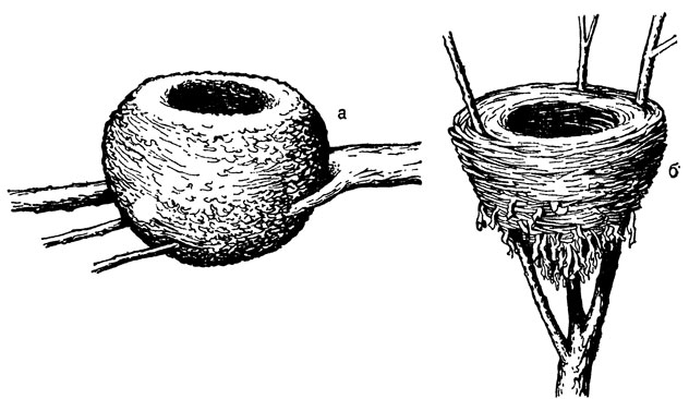 ���. 11. ���� ���������� (�) � �������������� (�) ������