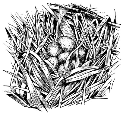 ���. 16. ������ ������ ��������