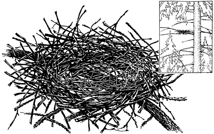 ���. 20. ������ ������������ �������