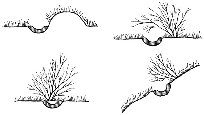 ���. 23. ����� ������������ ����� ������ ����������