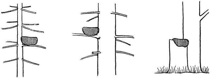 ���. 26. ����� ������������ ����� ������ ���������