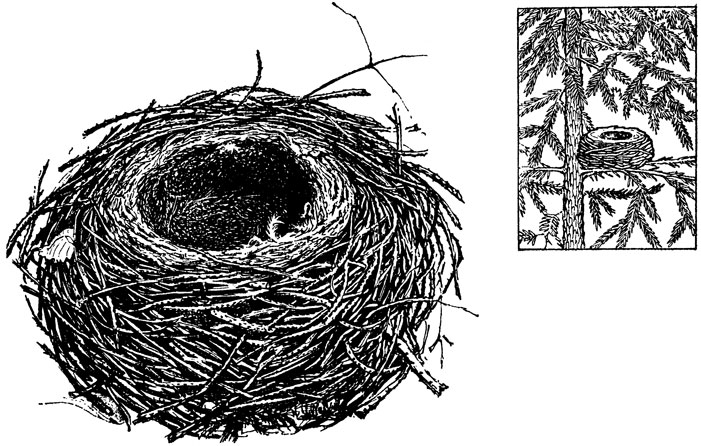 ���. 27. ������ ������ ���������