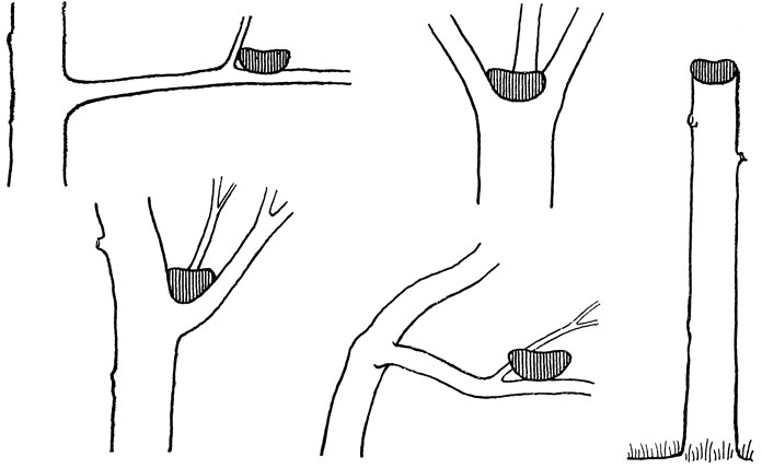 ΡΠΊΠΎΠ»ΡΠΊΠΎ Π΄Π½Π΅ΠΉ Π²ΡΡΠΈΠΆΠΈΠ²Π°ΡΡ ΡΠΉΡΠ° Π΄ΡΠΎΠ·Π΄Ρ. Π‘ΠΌΠΎΡΡΠ΅ΡΡ ΡΠΎΡΠΎ ΡΠΊΠΎΠ»ΡΠΊΠΎ Π΄Π½Π΅ΠΉ Π²ΡΡΠΈΠΆΠΈΠ²Π°ΡΡ ΡΠΉΡΠ° Π΄ΡΠΎΠ·Π΄Ρ. Π‘ΠΌΠΎΡΡΠ΅ΡΡ ΠΊΠ°ΡΡΠΈΠ½ΠΊΡ ΡΠΊΠΎΠ»ΡΠΊΠΎ Π΄Π½Π΅ΠΉ Π²ΡΡΠΈΠΆΠΈΠ²Π°ΡΡ ΡΠΉΡΠ° Π΄ΡΠΎΠ·Π΄Ρ. ΠΠ°ΡΡΠΈΠ½ΠΊΠ° ΠΏΡΠΎ ΡΠΊΠΎΠ»ΡΠΊΠΎ Π΄Π½Π΅ΠΉ Π²ΡΡΠΈΠΆΠΈΠ²Π°ΡΡ ΡΠΉΡΠ° Π΄ΡΠΎΠ·Π΄Ρ. Π€ΠΎΡΠΎ ΡΠΊΠΎΠ»ΡΠΊΠΎ Π΄Π½Π΅ΠΉ Π²ΡΡΠΈΠΆΠΈΠ²Π°ΡΡ ΡΠΉΡΠ° Π΄ΡΠΎΠ·Π΄Ρ ΡΠΊΠΎΠ»ΡΠΊΠΎ Π΄Π½Π΅ΠΉ Π²ΡΡΠΈΠΆΠΈΠ²Π°ΡΡ ΡΠΉΡΠ° Π΄ΡΠΎΠ·Π΄Ρ. Π‘ΠΌΠΎΡΡΠ΅ΡΡ ΡΠΎΡΠΎ ΡΠΊΠΎΠ»ΡΠΊΠΎ Π΄Π½Π΅ΠΉ Π²ΡΡΠΈΠΆΠΈΠ²Π°ΡΡ ΡΠΉΡΠ° Π΄ΡΠΎΠ·Π΄Ρ. Π‘ΠΌΠΎΡΡΠ΅ΡΡ ΠΊΠ°ΡΡΠΈΠ½ΠΊΡ ΡΠΊΠΎΠ»ΡΠΊΠΎ Π΄Π½Π΅ΠΉ Π²ΡΡΠΈΠΆΠΈΠ²Π°ΡΡ ΡΠΉΡΠ° Π΄ΡΠΎΠ·Π΄Ρ. ΠΠ°ΡΡΠΈΠ½ΠΊΠ° ΠΏΡΠΎ ΡΠΊΠΎΠ»ΡΠΊΠΎ Π΄Π½Π΅ΠΉ Π²ΡΡΠΈΠΆΠΈΠ²Π°ΡΡ ΡΠΉΡΠ° Π΄ΡΠΎΠ·Π΄Ρ. Π€ΠΎΡΠΎ ΡΠΊΠΎΠ»ΡΠΊΠΎ Π΄Π½Π΅ΠΉ Π²ΡΡΠΈΠΆΠΈΠ²Π°ΡΡ ΡΠΉΡΠ° Π΄ΡΠΎΠ·Π΄Ρ