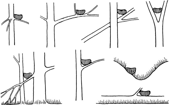 ΡΠΊΠΎΠ»ΡΠΊΠΎ Π΄Π½Π΅ΠΉ Π²ΡΡΠΈΠΆΠΈΠ²Π°ΡΡ ΡΠΉΡΠ° Π΄ΡΠΎΠ·Π΄Ρ. Π‘ΠΌΠΎΡΡΠ΅ΡΡ ΡΠΎΡΠΎ ΡΠΊΠΎΠ»ΡΠΊΠΎ Π΄Π½Π΅ΠΉ Π²ΡΡΠΈΠΆΠΈΠ²Π°ΡΡ ΡΠΉΡΠ° Π΄ΡΠΎΠ·Π΄Ρ. Π‘ΠΌΠΎΡΡΠ΅ΡΡ ΠΊΠ°ΡΡΠΈΠ½ΠΊΡ ΡΠΊΠΎΠ»ΡΠΊΠΎ Π΄Π½Π΅ΠΉ Π²ΡΡΠΈΠΆΠΈΠ²Π°ΡΡ ΡΠΉΡΠ° Π΄ΡΠΎΠ·Π΄Ρ. ΠΠ°ΡΡΠΈΠ½ΠΊΠ° ΠΏΡΠΎ ΡΠΊΠΎΠ»ΡΠΊΠΎ Π΄Π½Π΅ΠΉ Π²ΡΡΠΈΠΆΠΈΠ²Π°ΡΡ ΡΠΉΡΠ° Π΄ΡΠΎΠ·Π΄Ρ. Π€ΠΎΡΠΎ ΡΠΊΠΎΠ»ΡΠΊΠΎ Π΄Π½Π΅ΠΉ Π²ΡΡΠΈΠΆΠΈΠ²Π°ΡΡ ΡΠΉΡΠ° Π΄ΡΠΎΠ·Π΄Ρ ΡΠΊΠΎΠ»ΡΠΊΠΎ Π΄Π½Π΅ΠΉ Π²ΡΡΠΈΠΆΠΈΠ²Π°ΡΡ ΡΠΉΡΠ° Π΄ΡΠΎΠ·Π΄Ρ. Π‘ΠΌΠΎΡΡΠ΅ΡΡ ΡΠΎΡΠΎ ΡΠΊΠΎΠ»ΡΠΊΠΎ Π΄Π½Π΅ΠΉ Π²ΡΡΠΈΠΆΠΈΠ²Π°ΡΡ ΡΠΉΡΠ° Π΄ΡΠΎΠ·Π΄Ρ. Π‘ΠΌΠΎΡΡΠ΅ΡΡ ΠΊΠ°ΡΡΠΈΠ½ΠΊΡ ΡΠΊΠΎΠ»ΡΠΊΠΎ Π΄Π½Π΅ΠΉ Π²ΡΡΠΈΠΆΠΈΠ²Π°ΡΡ ΡΠΉΡΠ° Π΄ΡΠΎΠ·Π΄Ρ. ΠΠ°ΡΡΠΈΠ½ΠΊΠ° ΠΏΡΠΎ ΡΠΊΠΎΠ»ΡΠΊΠΎ Π΄Π½Π΅ΠΉ Π²ΡΡΠΈΠΆΠΈΠ²Π°ΡΡ ΡΠΉΡΠ° Π΄ΡΠΎΠ·Π΄Ρ. Π€ΠΎΡΠΎ ΡΠΊΠΎΠ»ΡΠΊΠΎ Π΄Π½Π΅ΠΉ Π²ΡΡΠΈΠΆΠΈΠ²Π°ΡΡ ΡΠΉΡΠ° Π΄ΡΠΎΠ·Π΄Ρ