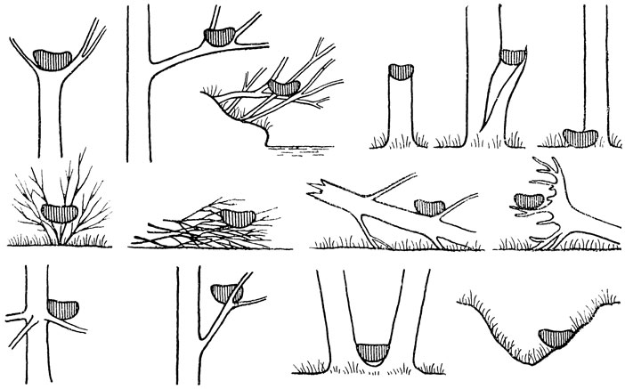 ΡΠΊΠΎΠ»ΡΠΊΠΎ Π΄Π½Π΅ΠΉ Π²ΡΡΠΈΠΆΠΈΠ²Π°ΡΡ ΡΠΉΡΠ° Π΄ΡΠΎΠ·Π΄Ρ. Π‘ΠΌΠΎΡΡΠ΅ΡΡ ΡΠΎΡΠΎ ΡΠΊΠΎΠ»ΡΠΊΠΎ Π΄Π½Π΅ΠΉ Π²ΡΡΠΈΠΆΠΈΠ²Π°ΡΡ ΡΠΉΡΠ° Π΄ΡΠΎΠ·Π΄Ρ. Π‘ΠΌΠΎΡΡΠ΅ΡΡ ΠΊΠ°ΡΡΠΈΠ½ΠΊΡ ΡΠΊΠΎΠ»ΡΠΊΠΎ Π΄Π½Π΅ΠΉ Π²ΡΡΠΈΠΆΠΈΠ²Π°ΡΡ ΡΠΉΡΠ° Π΄ΡΠΎΠ·Π΄Ρ. ΠΠ°ΡΡΠΈΠ½ΠΊΠ° ΠΏΡΠΎ ΡΠΊΠΎΠ»ΡΠΊΠΎ Π΄Π½Π΅ΠΉ Π²ΡΡΠΈΠΆΠΈΠ²Π°ΡΡ ΡΠΉΡΠ° Π΄ΡΠΎΠ·Π΄Ρ. Π€ΠΎΡΠΎ ΡΠΊΠΎΠ»ΡΠΊΠΎ Π΄Π½Π΅ΠΉ Π²ΡΡΠΈΠΆΠΈΠ²Π°ΡΡ ΡΠΉΡΠ° Π΄ΡΠΎΠ·Π΄Ρ ΡΠΊΠΎΠ»ΡΠΊΠΎ Π΄Π½Π΅ΠΉ Π²ΡΡΠΈΠΆΠΈΠ²Π°ΡΡ ΡΠΉΡΠ° Π΄ΡΠΎΠ·Π΄Ρ. Π‘ΠΌΠΎΡΡΠ΅ΡΡ ΡΠΎΡΠΎ ΡΠΊΠΎΠ»ΡΠΊΠΎ Π΄Π½Π΅ΠΉ Π²ΡΡΠΈΠΆΠΈΠ²Π°ΡΡ ΡΠΉΡΠ° Π΄ΡΠΎΠ·Π΄Ρ. Π‘ΠΌΠΎΡΡΠ΅ΡΡ ΠΊΠ°ΡΡΠΈΠ½ΠΊΡ ΡΠΊΠΎΠ»ΡΠΊΠΎ Π΄Π½Π΅ΠΉ Π²ΡΡΠΈΠΆΠΈΠ²Π°ΡΡ ΡΠΉΡΠ° Π΄ΡΠΎΠ·Π΄Ρ. ΠΠ°ΡΡΠΈΠ½ΠΊΠ° ΠΏΡΠΎ ΡΠΊΠΎΠ»ΡΠΊΠΎ Π΄Π½Π΅ΠΉ Π²ΡΡΠΈΠΆΠΈΠ²Π°ΡΡ ΡΠΉΡΠ° Π΄ΡΠΎΠ·Π΄Ρ. Π€ΠΎΡΠΎ ΡΠΊΠΎΠ»ΡΠΊΠΎ Π΄Π½Π΅ΠΉ Π²ΡΡΠΈΠΆΠΈΠ²Π°ΡΡ ΡΠΉΡΠ° Π΄ΡΠΎΠ·Π΄Ρ