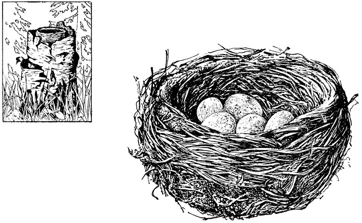 ΡΠΊΠΎΠ»ΡΠΊΠΎ Π΄Π½Π΅ΠΉ Π²ΡΡΠΈΠΆΠΈΠ²Π°ΡΡ ΡΠΉΡΠ° Π΄ΡΠΎΠ·Π΄Ρ. Π‘ΠΌΠΎΡΡΠ΅ΡΡ ΡΠΎΡΠΎ ΡΠΊΠΎΠ»ΡΠΊΠΎ Π΄Π½Π΅ΠΉ Π²ΡΡΠΈΠΆΠΈΠ²Π°ΡΡ ΡΠΉΡΠ° Π΄ΡΠΎΠ·Π΄Ρ. Π‘ΠΌΠΎΡΡΠ΅ΡΡ ΠΊΠ°ΡΡΠΈΠ½ΠΊΡ ΡΠΊΠΎΠ»ΡΠΊΠΎ Π΄Π½Π΅ΠΉ Π²ΡΡΠΈΠΆΠΈΠ²Π°ΡΡ ΡΠΉΡΠ° Π΄ΡΠΎΠ·Π΄Ρ. ΠΠ°ΡΡΠΈΠ½ΠΊΠ° ΠΏΡΠΎ ΡΠΊΠΎΠ»ΡΠΊΠΎ Π΄Π½Π΅ΠΉ Π²ΡΡΠΈΠΆΠΈΠ²Π°ΡΡ ΡΠΉΡΠ° Π΄ΡΠΎΠ·Π΄Ρ. Π€ΠΎΡΠΎ ΡΠΊΠΎΠ»ΡΠΊΠΎ Π΄Π½Π΅ΠΉ Π²ΡΡΠΈΠΆΠΈΠ²Π°ΡΡ ΡΠΉΡΠ° Π΄ΡΠΎΠ·Π΄Ρ ΡΠΊΠΎΠ»ΡΠΊΠΎ Π΄Π½Π΅ΠΉ Π²ΡΡΠΈΠΆΠΈΠ²Π°ΡΡ ΡΠΉΡΠ° Π΄ΡΠΎΠ·Π΄Ρ. Π‘ΠΌΠΎΡΡΠ΅ΡΡ ΡΠΎΡΠΎ ΡΠΊΠΎΠ»ΡΠΊΠΎ Π΄Π½Π΅ΠΉ Π²ΡΡΠΈΠΆΠΈΠ²Π°ΡΡ ΡΠΉΡΠ° Π΄ΡΠΎΠ·Π΄Ρ. Π‘ΠΌΠΎΡΡΠ΅ΡΡ ΠΊΠ°ΡΡΠΈΠ½ΠΊΡ ΡΠΊΠΎΠ»ΡΠΊΠΎ Π΄Π½Π΅ΠΉ Π²ΡΡΠΈΠΆΠΈΠ²Π°ΡΡ ΡΠΉΡΠ° Π΄ΡΠΎΠ·Π΄Ρ. ΠΠ°ΡΡΠΈΠ½ΠΊΠ° ΠΏΡΠΎ ΡΠΊΠΎΠ»ΡΠΊΠΎ Π΄Π½Π΅ΠΉ Π²ΡΡΠΈΠΆΠΈΠ²Π°ΡΡ ΡΠΉΡΠ° Π΄ΡΠΎΠ·Π΄Ρ. Π€ΠΎΡΠΎ ΡΠΊΠΎΠ»ΡΠΊΠΎ Π΄Π½Π΅ΠΉ Π²ΡΡΠΈΠΆΠΈΠ²Π°ΡΡ ΡΠΉΡΠ° Π΄ΡΠΎΠ·Π΄Ρ