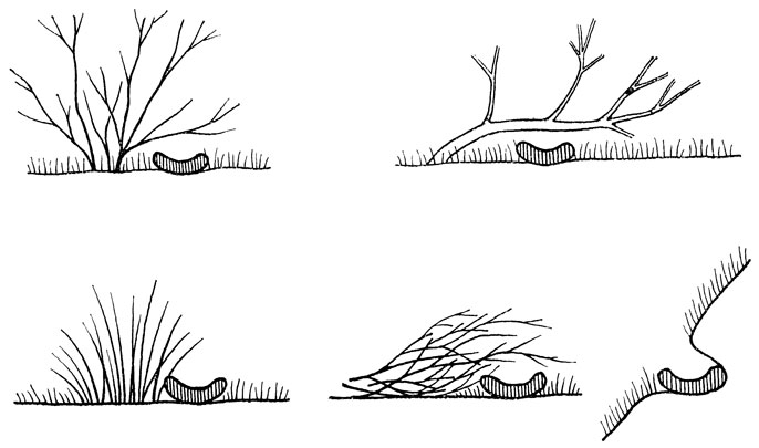 ΡΠΊΠΎΠ»ΡΠΊΠΎ Π΄Π½Π΅ΠΉ Π²ΡΡΠΈΠΆΠΈΠ²Π°ΡΡ ΡΠΉΡΠ° Π΄ΡΠΎΠ·Π΄Ρ. Π‘ΠΌΠΎΡΡΠ΅ΡΡ ΡΠΎΡΠΎ ΡΠΊΠΎΠ»ΡΠΊΠΎ Π΄Π½Π΅ΠΉ Π²ΡΡΠΈΠΆΠΈΠ²Π°ΡΡ ΡΠΉΡΠ° Π΄ΡΠΎΠ·Π΄Ρ. Π‘ΠΌΠΎΡΡΠ΅ΡΡ ΠΊΠ°ΡΡΠΈΠ½ΠΊΡ ΡΠΊΠΎΠ»ΡΠΊΠΎ Π΄Π½Π΅ΠΉ Π²ΡΡΠΈΠΆΠΈΠ²Π°ΡΡ ΡΠΉΡΠ° Π΄ΡΠΎΠ·Π΄Ρ. ΠΠ°ΡΡΠΈΠ½ΠΊΠ° ΠΏΡΠΎ ΡΠΊΠΎΠ»ΡΠΊΠΎ Π΄Π½Π΅ΠΉ Π²ΡΡΠΈΠΆΠΈΠ²Π°ΡΡ ΡΠΉΡΠ° Π΄ΡΠΎΠ·Π΄Ρ. Π€ΠΎΡΠΎ ΡΠΊΠΎΠ»ΡΠΊΠΎ Π΄Π½Π΅ΠΉ Π²ΡΡΠΈΠΆΠΈΠ²Π°ΡΡ ΡΠΉΡΠ° Π΄ΡΠΎΠ·Π΄Ρ ΡΠΊΠΎΠ»ΡΠΊΠΎ Π΄Π½Π΅ΠΉ Π²ΡΡΠΈΠΆΠΈΠ²Π°ΡΡ ΡΠΉΡΠ° Π΄ΡΠΎΠ·Π΄Ρ. Π‘ΠΌΠΎΡΡΠ΅ΡΡ ΡΠΎΡΠΎ ΡΠΊΠΎΠ»ΡΠΊΠΎ Π΄Π½Π΅ΠΉ Π²ΡΡΠΈΠΆΠΈΠ²Π°ΡΡ ΡΠΉΡΠ° Π΄ΡΠΎΠ·Π΄Ρ. Π‘ΠΌΠΎΡΡΠ΅ΡΡ ΠΊΠ°ΡΡΠΈΠ½ΠΊΡ ΡΠΊΠΎΠ»ΡΠΊΠΎ Π΄Π½Π΅ΠΉ Π²ΡΡΠΈΠΆΠΈΠ²Π°ΡΡ ΡΠΉΡΠ° Π΄ΡΠΎΠ·Π΄Ρ. ΠΠ°ΡΡΠΈΠ½ΠΊΠ° ΠΏΡΠΎ ΡΠΊΠΎΠ»ΡΠΊΠΎ Π΄Π½Π΅ΠΉ Π²ΡΡΠΈΠΆΠΈΠ²Π°ΡΡ ΡΠΉΡΠ° Π΄ΡΠΎΠ·Π΄Ρ. Π€ΠΎΡΠΎ ΡΠΊΠΎΠ»ΡΠΊΠΎ Π΄Π½Π΅ΠΉ Π²ΡΡΠΈΠΆΠΈΠ²Π°ΡΡ ΡΠΉΡΠ° Π΄ΡΠΎΠ·Π΄Ρ