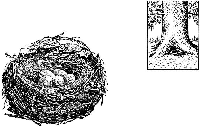 ΡΠΊΠΎΠ»ΡΠΊΠΎ Π΄Π½Π΅ΠΉ Π²ΡΡΠΈΠΆΠΈΠ²Π°ΡΡ ΡΠΉΡΠ° Π΄ΡΠΎΠ·Π΄Ρ. Π‘ΠΌΠΎΡΡΠ΅ΡΡ ΡΠΎΡΠΎ ΡΠΊΠΎΠ»ΡΠΊΠΎ Π΄Π½Π΅ΠΉ Π²ΡΡΠΈΠΆΠΈΠ²Π°ΡΡ ΡΠΉΡΠ° Π΄ΡΠΎΠ·Π΄Ρ. Π‘ΠΌΠΎΡΡΠ΅ΡΡ ΠΊΠ°ΡΡΠΈΠ½ΠΊΡ ΡΠΊΠΎΠ»ΡΠΊΠΎ Π΄Π½Π΅ΠΉ Π²ΡΡΠΈΠΆΠΈΠ²Π°ΡΡ ΡΠΉΡΠ° Π΄ΡΠΎΠ·Π΄Ρ. ΠΠ°ΡΡΠΈΠ½ΠΊΠ° ΠΏΡΠΎ ΡΠΊΠΎΠ»ΡΠΊΠΎ Π΄Π½Π΅ΠΉ Π²ΡΡΠΈΠΆΠΈΠ²Π°ΡΡ ΡΠΉΡΠ° Π΄ΡΠΎΠ·Π΄Ρ. Π€ΠΎΡΠΎ ΡΠΊΠΎΠ»ΡΠΊΠΎ Π΄Π½Π΅ΠΉ Π²ΡΡΠΈΠΆΠΈΠ²Π°ΡΡ ΡΠΉΡΠ° Π΄ΡΠΎΠ·Π΄Ρ ΡΠΊΠΎΠ»ΡΠΊΠΎ Π΄Π½Π΅ΠΉ Π²ΡΡΠΈΠΆΠΈΠ²Π°ΡΡ ΡΠΉΡΠ° Π΄ΡΠΎΠ·Π΄Ρ. Π‘ΠΌΠΎΡΡΠ΅ΡΡ ΡΠΎΡΠΎ ΡΠΊΠΎΠ»ΡΠΊΠΎ Π΄Π½Π΅ΠΉ Π²ΡΡΠΈΠΆΠΈΠ²Π°ΡΡ ΡΠΉΡΠ° Π΄ΡΠΎΠ·Π΄Ρ. Π‘ΠΌΠΎΡΡΠ΅ΡΡ ΠΊΠ°ΡΡΠΈΠ½ΠΊΡ ΡΠΊΠΎΠ»ΡΠΊΠΎ Π΄Π½Π΅ΠΉ Π²ΡΡΠΈΠΆΠΈΠ²Π°ΡΡ ΡΠΉΡΠ° Π΄ΡΠΎΠ·Π΄Ρ. ΠΠ°ΡΡΠΈΠ½ΠΊΠ° ΠΏΡΠΎ ΡΠΊΠΎΠ»ΡΠΊΠΎ Π΄Π½Π΅ΠΉ Π²ΡΡΠΈΠΆΠΈΠ²Π°ΡΡ ΡΠΉΡΠ° Π΄ΡΠΎΠ·Π΄Ρ. Π€ΠΎΡΠΎ ΡΠΊΠΎΠ»ΡΠΊΠΎ Π΄Π½Π΅ΠΉ Π²ΡΡΠΈΠΆΠΈΠ²Π°ΡΡ ΡΠΉΡΠ° Π΄ΡΠΎΠ·Π΄Ρ