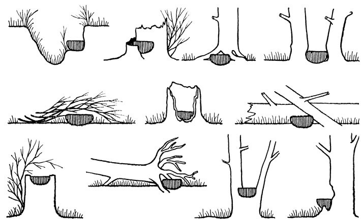 ΡΠΊΠΎΠ»ΡΠΊΠΎ Π΄Π½Π΅ΠΉ Π²ΡΡΠΈΠΆΠΈΠ²Π°ΡΡ ΡΠΉΡΠ° Π΄ΡΠΎΠ·Π΄Ρ. Π‘ΠΌΠΎΡΡΠ΅ΡΡ ΡΠΎΡΠΎ ΡΠΊΠΎΠ»ΡΠΊΠΎ Π΄Π½Π΅ΠΉ Π²ΡΡΠΈΠΆΠΈΠ²Π°ΡΡ ΡΠΉΡΠ° Π΄ΡΠΎΠ·Π΄Ρ. Π‘ΠΌΠΎΡΡΠ΅ΡΡ ΠΊΠ°ΡΡΠΈΠ½ΠΊΡ ΡΠΊΠΎΠ»ΡΠΊΠΎ Π΄Π½Π΅ΠΉ Π²ΡΡΠΈΠΆΠΈΠ²Π°ΡΡ ΡΠΉΡΠ° Π΄ΡΠΎΠ·Π΄Ρ. ΠΠ°ΡΡΠΈΠ½ΠΊΠ° ΠΏΡΠΎ ΡΠΊΠΎΠ»ΡΠΊΠΎ Π΄Π½Π΅ΠΉ Π²ΡΡΠΈΠΆΠΈΠ²Π°ΡΡ ΡΠΉΡΠ° Π΄ΡΠΎΠ·Π΄Ρ. Π€ΠΎΡΠΎ ΡΠΊΠΎΠ»ΡΠΊΠΎ Π΄Π½Π΅ΠΉ Π²ΡΡΠΈΠΆΠΈΠ²Π°ΡΡ ΡΠΉΡΠ° Π΄ΡΠΎΠ·Π΄Ρ ΡΠΊΠΎΠ»ΡΠΊΠΎ Π΄Π½Π΅ΠΉ Π²ΡΡΠΈΠΆΠΈΠ²Π°ΡΡ ΡΠΉΡΠ° Π΄ΡΠΎΠ·Π΄Ρ. Π‘ΠΌΠΎΡΡΠ΅ΡΡ ΡΠΎΡΠΎ ΡΠΊΠΎΠ»ΡΠΊΠΎ Π΄Π½Π΅ΠΉ Π²ΡΡΠΈΠΆΠΈΠ²Π°ΡΡ ΡΠΉΡΠ° Π΄ΡΠΎΠ·Π΄Ρ. Π‘ΠΌΠΎΡΡΠ΅ΡΡ ΠΊΠ°ΡΡΠΈΠ½ΠΊΡ ΡΠΊΠΎΠ»ΡΠΊΠΎ Π΄Π½Π΅ΠΉ Π²ΡΡΠΈΠΆΠΈΠ²Π°ΡΡ ΡΠΉΡΠ° Π΄ΡΠΎΠ·Π΄Ρ. ΠΠ°ΡΡΠΈΠ½ΠΊΠ° ΠΏΡΠΎ ΡΠΊΠΎΠ»ΡΠΊΠΎ Π΄Π½Π΅ΠΉ Π²ΡΡΠΈΠΆΠΈΠ²Π°ΡΡ ΡΠΉΡΠ° Π΄ΡΠΎΠ·Π΄Ρ. Π€ΠΎΡΠΎ ΡΠΊΠΎΠ»ΡΠΊΠΎ Π΄Π½Π΅ΠΉ Π²ΡΡΠΈΠΆΠΈΠ²Π°ΡΡ ΡΠΉΡΠ° Π΄ΡΠΎΠ·Π΄Ρ