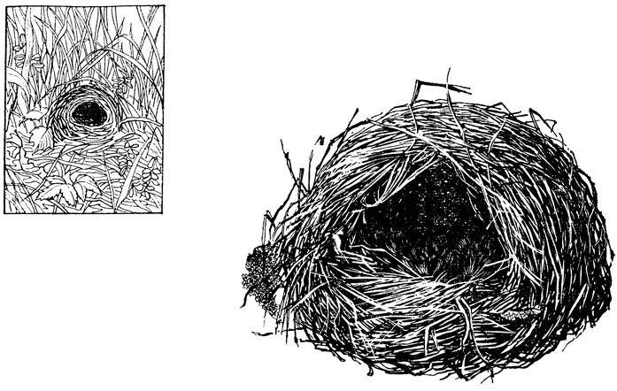 ���. 38. ������ �������-��������