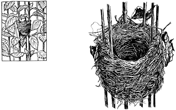 ���. 39. ������ �������������, ��� ��������, ���������